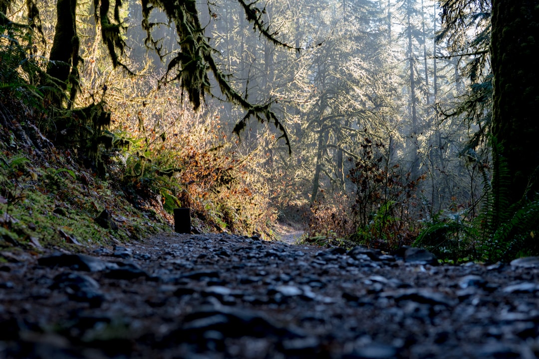 Unveiling the Hidden Treasures of Outdoor Adventures: A Journey Beyond the Ordinary